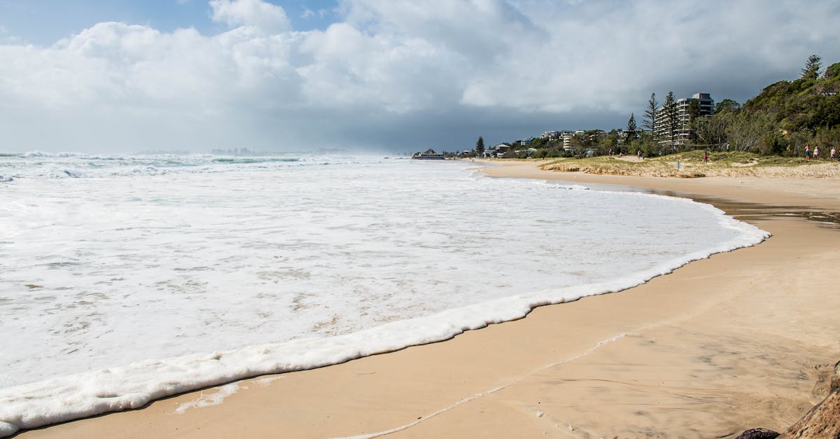 Cultural Significance of Traditional Tattoos Among Gold Coast Artists