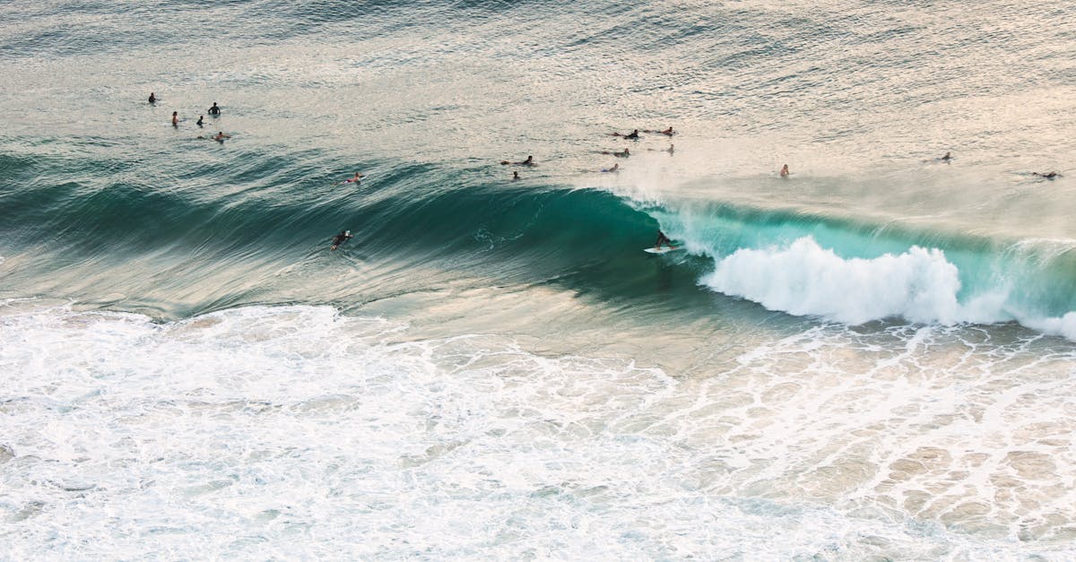 Exploring Cultural Themes in Realistic Tattoos on the Gold Coast