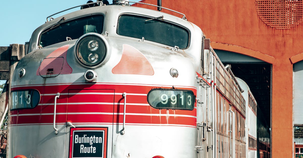 Exploring the Bold Aesthetics of Blackwork Tattoos
