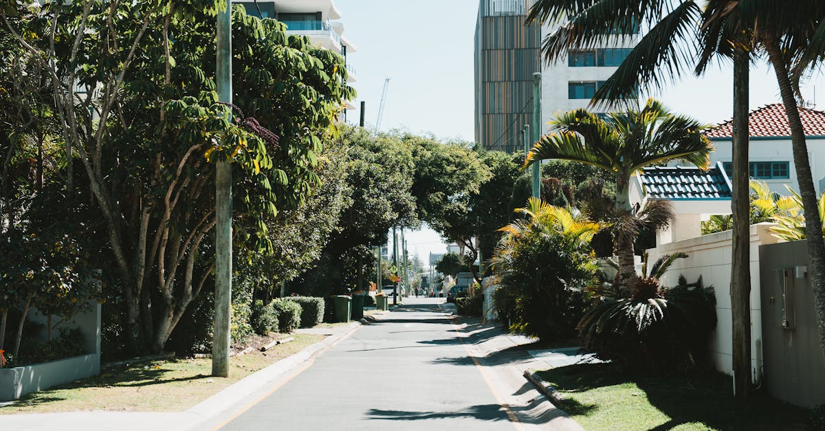 How Gold Coast Artists Create Lifelike Portrait Tattoos