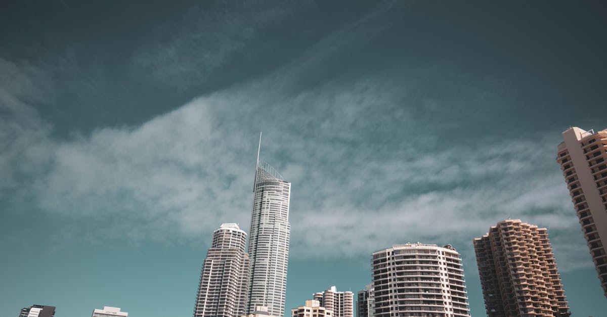 How to Keep Your Tattoo Vibrant and Healthy