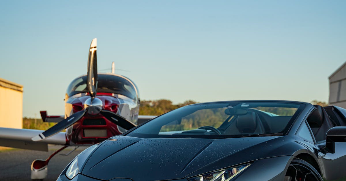 Understanding the Role of Hydration in Tattoo Care